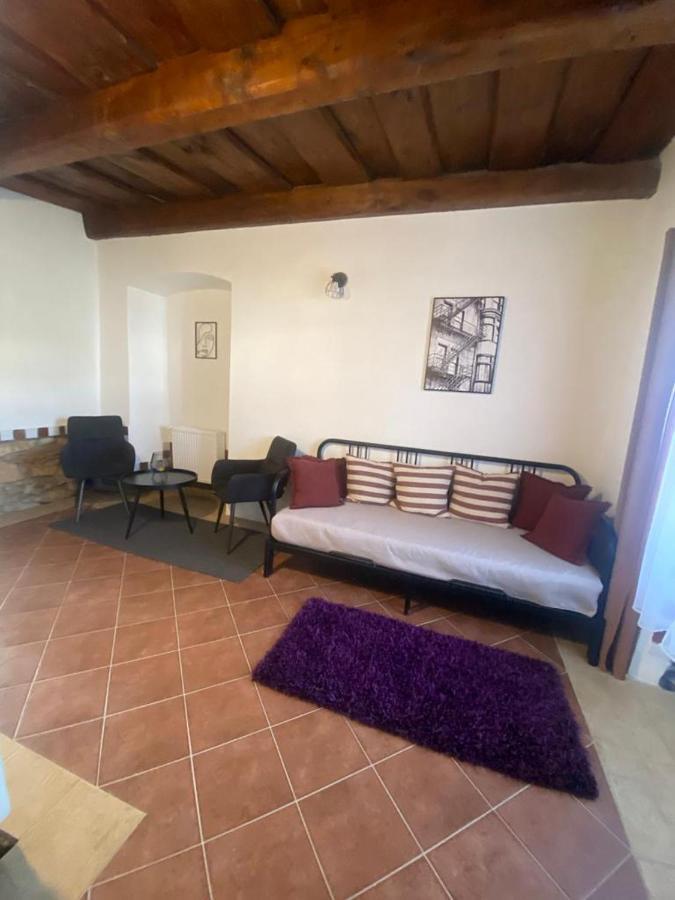 Vila Lucia - Apartman 1 Plzeň Buitenkant foto